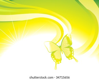 vector illustration, wave and butterfly