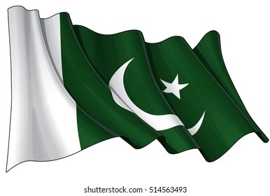 Vector Illustration of a Waving Pakistani Flag. All elements neatly organized. Lines, Shading & Flag Colors on separate layers for easy editing.