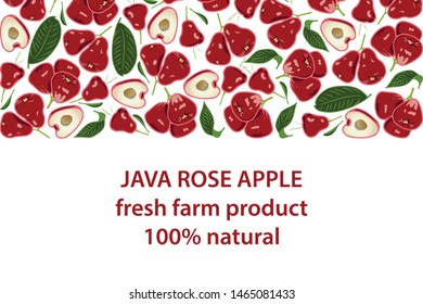 vector illustration of wax apple and leaf design background white and fruit and text java rose apple fresh farm product 100% natural EPS10