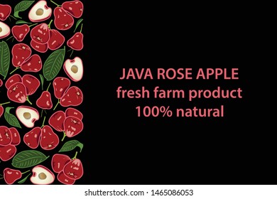 vector illustration of wax apple and leaf design background black and fruit and text java rose apple fresh farm product 100% natural EPS10