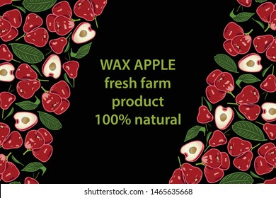 vector illustration of wax apple and leaf design background black and fruit and text fresh farm product 100% natural EPS10