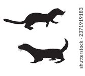 Vector Illustration of Weasel Silhouette