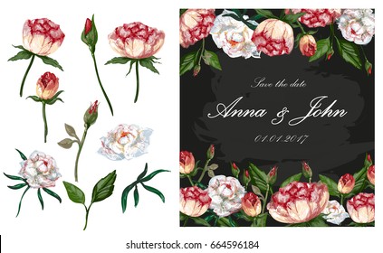 Vector illustration of wedding invitation, greeting card with peony flowers. Set of isolated basic parts of peony plant bud, flower, stem and leaf.