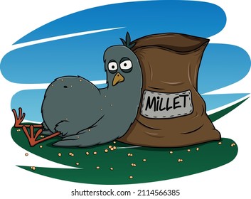 Vector illustration of a well-fed pigeon