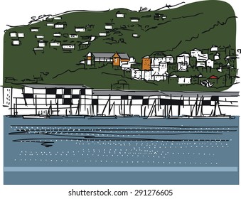 Vector illustration of Wellington harbor, hills and boats, New Zealand