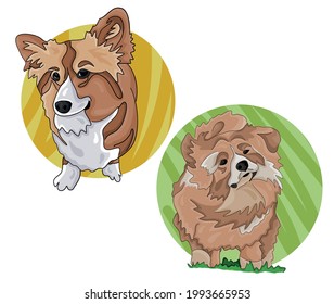 Vector illustration - welsh corgi dog, flat art set
