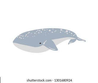 Vector illustration of whale. 