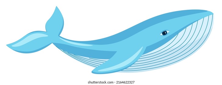 Vector illustration of whale isoladet on white background. Marine mammal