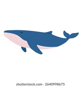 Vector illustration of a whale isolated on white background. Great for educational materials, children’s books, and kids’ projects.