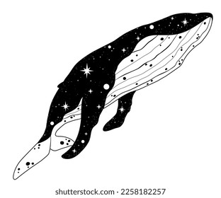 Vector illustration of a whale with a night sky. Space. Postcard, poster design, coloring pages, spirituality, occultism,