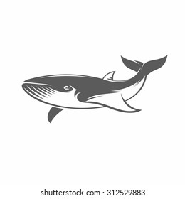 Vector illustration of a whale in the old-fashioned style and line-art style. Can be used as a tattoo  / Whale in water black and white vector illustration