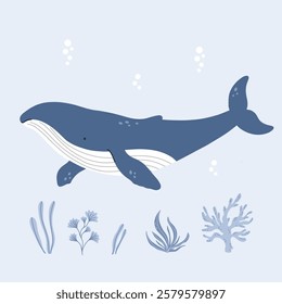 Vector illustration of a whale swimming in the ocean, surrounded by sea plants and coral. Simple, flat, and hand-drawn design in soft blue tones