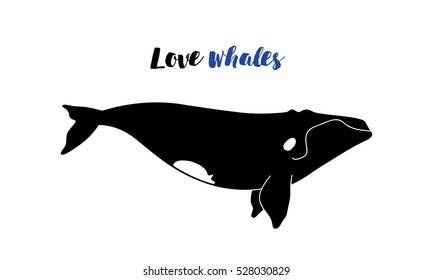 Vector illustration of whale. Template  poster with right whale.