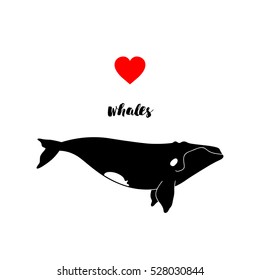 Vector illustration of whale. Template  poster with right whale.
