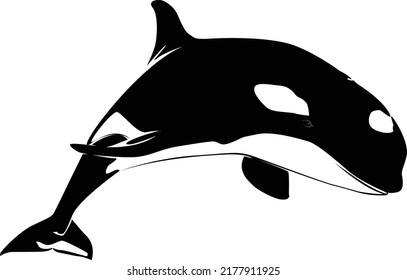 Vector illustration of a whales
