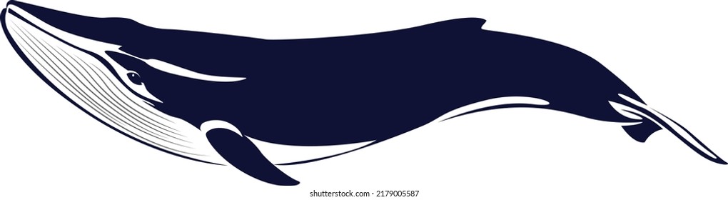 Ilustración vectorial de una ballena