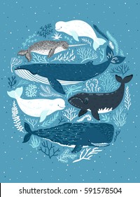 Vector illustration with whales. Beautiful poster with marine mammals. Card with sea animals.