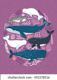 Vector illustration with whales. Beautiful poster with marine mammals. Card with sea animals.