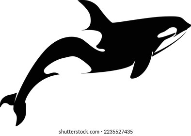 Vector illustration of a whales . dolphin silhouette isolated on white