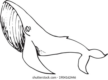 vector illustration of whales drawn by hand. Simple, doodle, tattoo