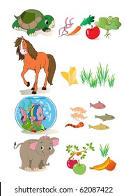 vector illustration, what animals eat, education concept, white background.