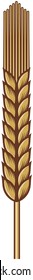 Vector illustration of wheat