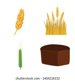 Vector illustration of wheat and corn logo. Set of wheat and harvest vector icon for stock.