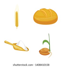 Vector illustration of wheat and corn logo. Collection of wheat and harvest stock symbol for web.