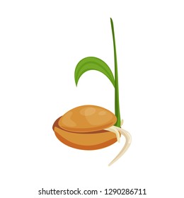 Vector illustration of wheat and corn sign. Collection of wheat and harvest stock symbol for web.