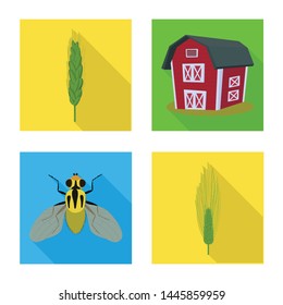 Vector illustration of wheat and corn sign. Collection of wheat and harvest stock symbol for web.