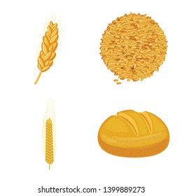 Vector illustration of wheat and corn symbol. Set of wheat and harvest stock symbol for web.