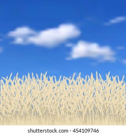 Vector illustration of a wheat field on a background of blue sky
