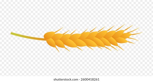 Vector illustration of wheat grain on transparent background