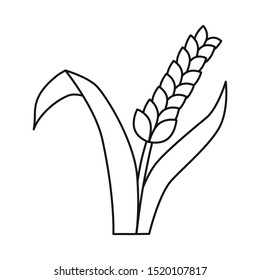 Vector illustration of wheat and green symbol. Graphic of wheat and agriculture stock symbol for web.