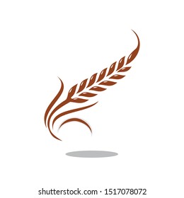 vector illustration of a wheat plant that looks beautiful and pleasing to the eye - vector