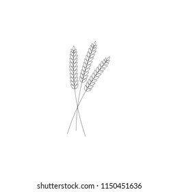 vector illustration of wheat, rye or barley ears with whole grain,wheat, rye or barley crop harvest symbol or icon isolated on white background. 