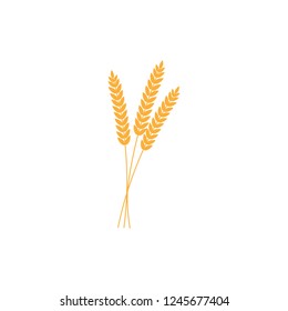 vector illustration of wheat, rye or barley ears with whole grain, yellow wheat, rye or barley crop harvest symbol or icon isolated on white background.