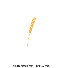 vector illustration of wheat, rye or barley ear with whole grain, yellow wheat, rye or barley crop harvest symbol or icon isolated on white background.