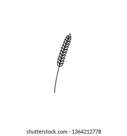 vector illustration of wheat, rye or barley ears whole grain, black line symbol icon isolated on white background.