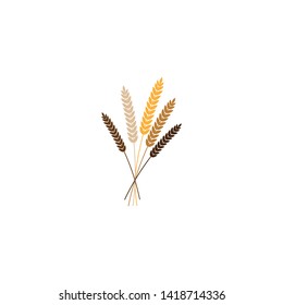 vector illustration of wheat, rye or barley ears with whole grain, yellow wheat, rye or barley crop harvest symbol or icon isolated on white background.