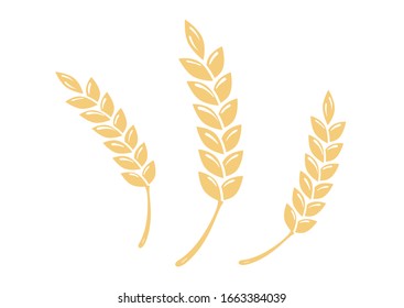 Vector illustration of wheat spice. Golden spice isolated on white background. Three wheat spice