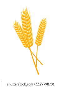 Vector illustration of wheat spikelets isolated on white background. Template, print, design element. Cartoon style.