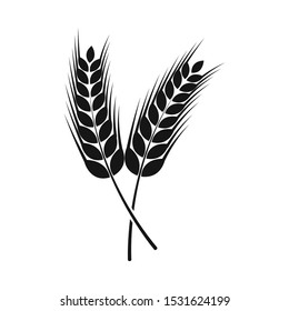 Vector illustration of wheat and stalk logo. Web element of wheat and gold stock symbol for web.