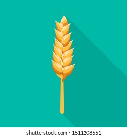 Vector illustration of wheat and stalk sign. Web element of wheat and gold stock symbol for web.