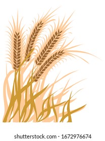 Vector - Illustration of Wheat symbol