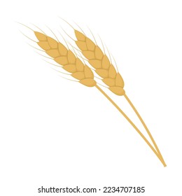 Ilustración vectorial del trigo con fondo blanco.