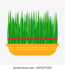 Vector illustration of wheatgrass sprouts in a bowl on transparent background