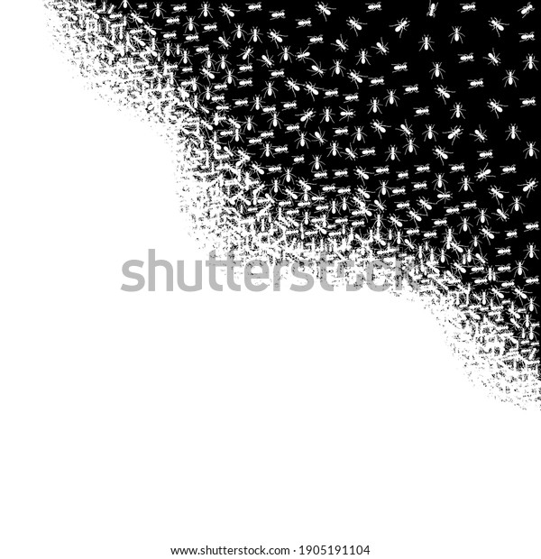 Vector illustration with white ants. Abstract creative
composition. Ants monochrome vector. Insects in black and white
concept. 