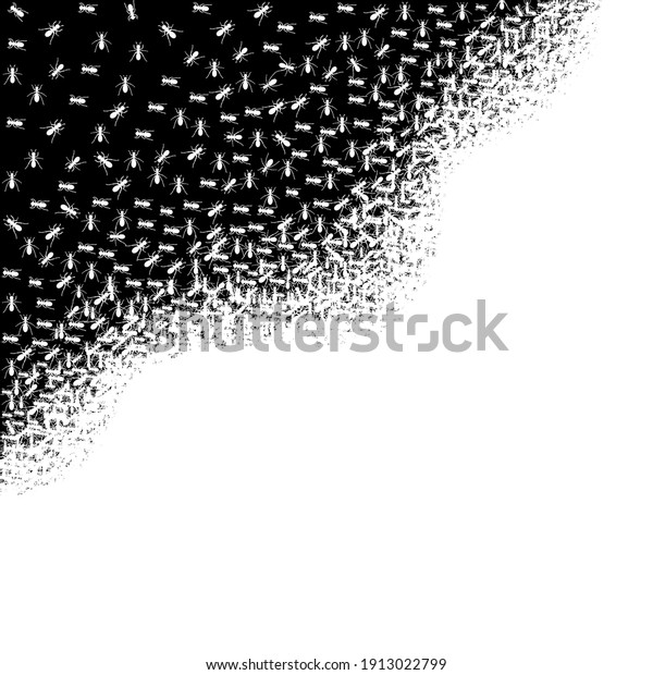 Vector illustration with white ants. Abstract creative\
composition. Ants monochrome vector. Insects in black and white\
concept. 