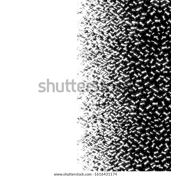 Vector illustration of white ants from the\
vertical. Abstract creative composition. Ants monochrome vector.\
Insects in black and white concept. Textile pattern, print pattern.\
Black and white\
pattern.